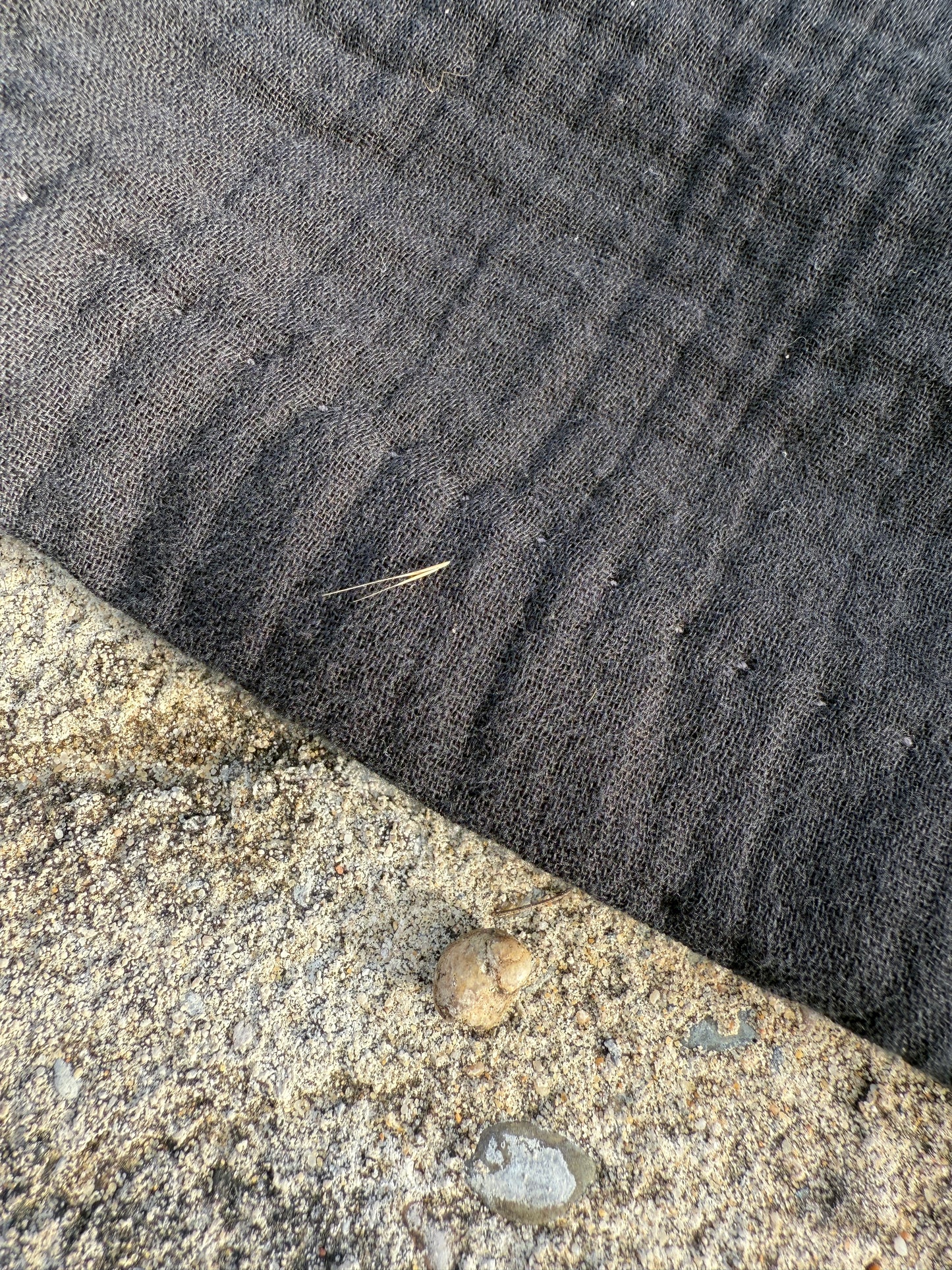 SUMMER GAZE PANTS (NOIR)